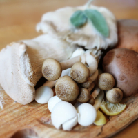 mushrooms to boost your immune system