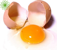Calories In Egg, Chicken, Whole, Raw