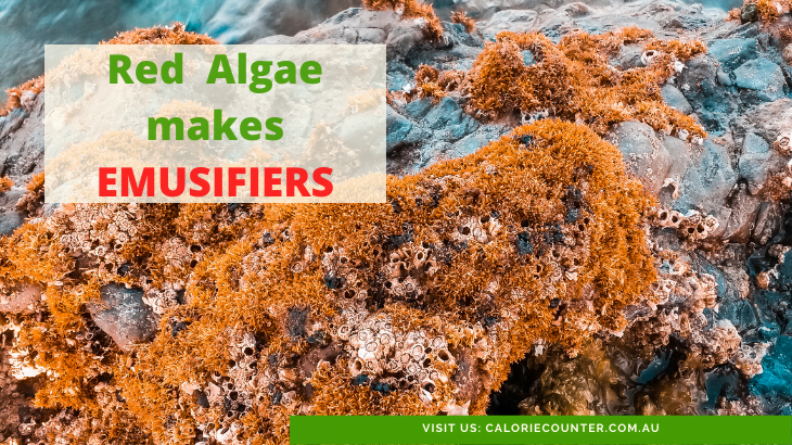 algae makes emulsifiers