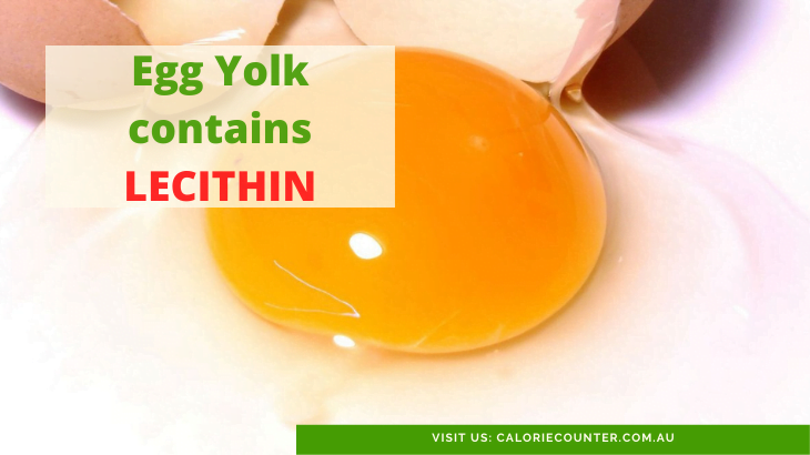 lecithin in egg yolk