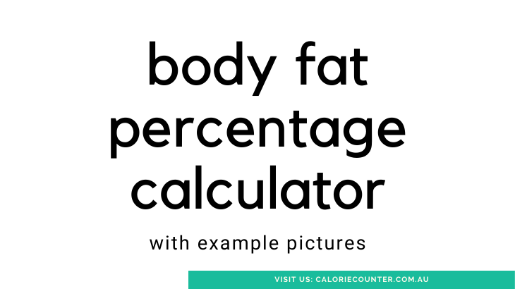 Body Fat Percentage Calculator (with pictures)