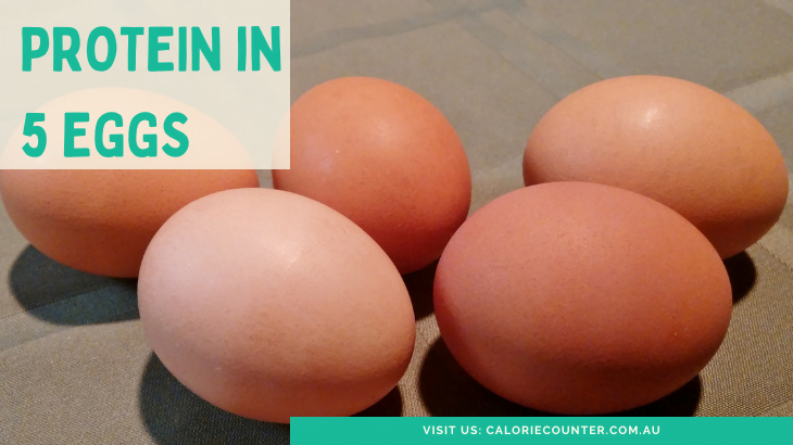 How Much Protein Is In 5 Eggs