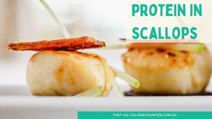 How Much Protein In Scallops