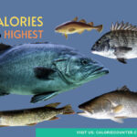 Calories and Protein in 52 Fish ranked Lowest to Highest